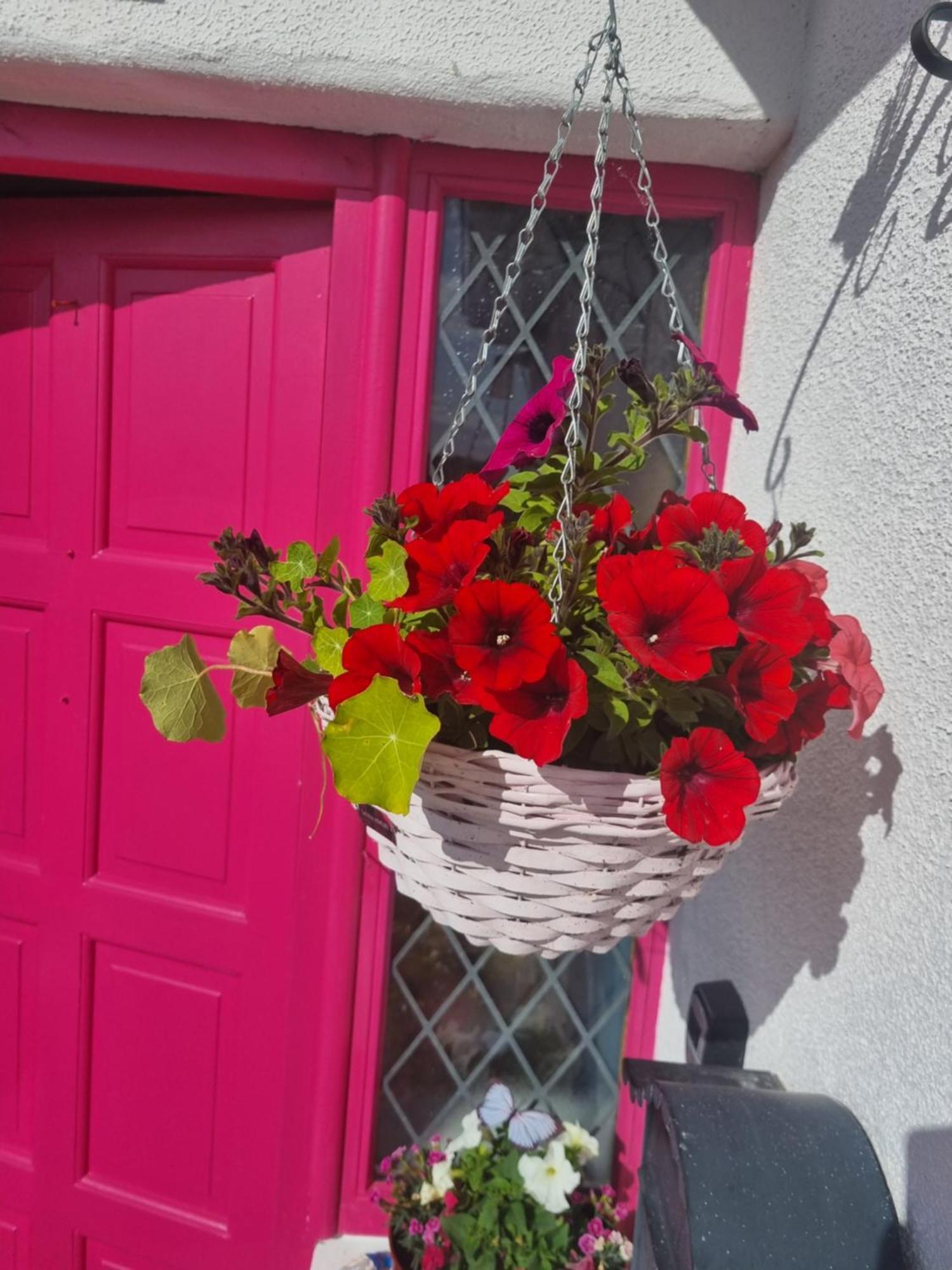 The Pink Door Apartman Killala Kültér fotó