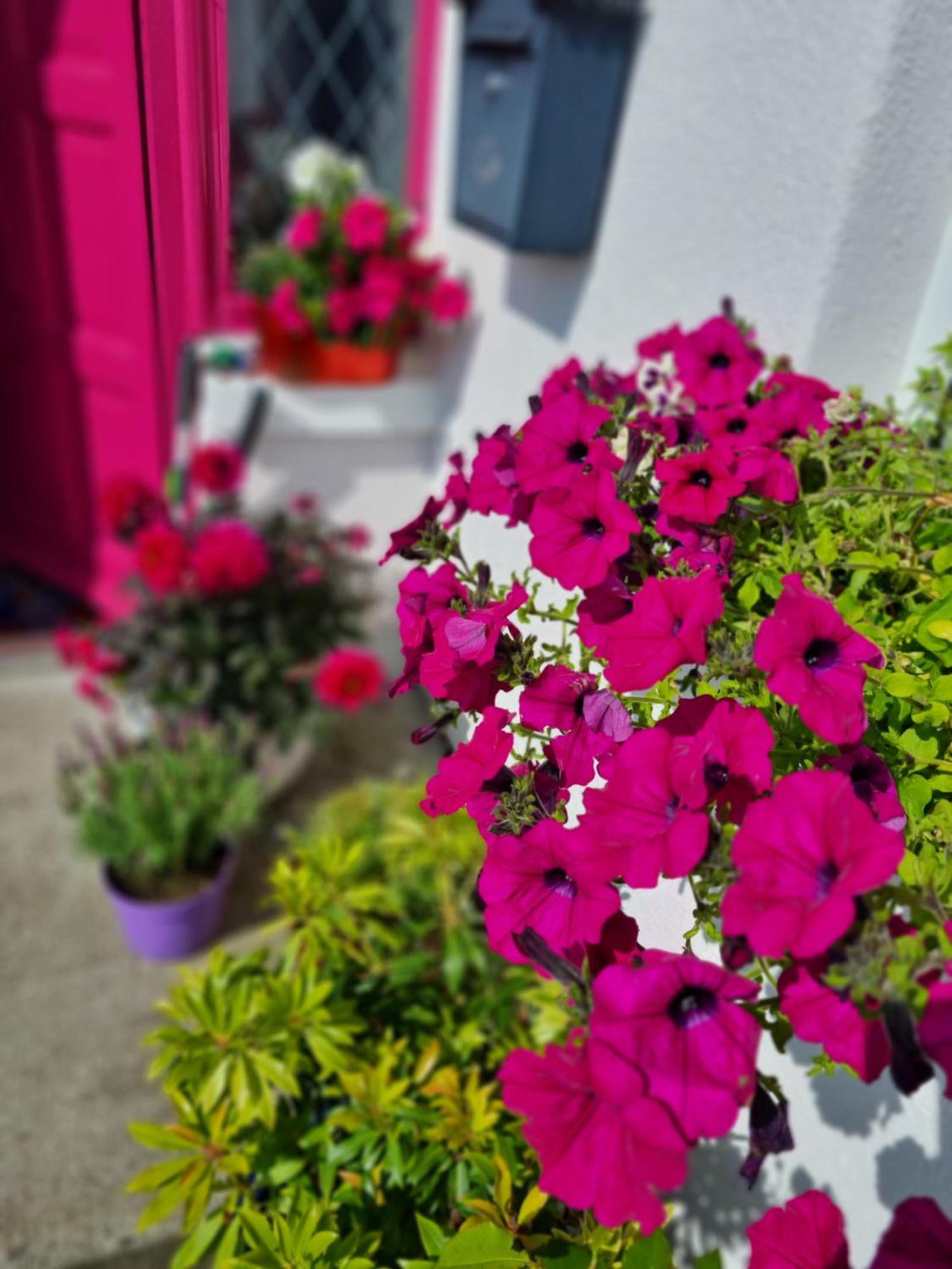 The Pink Door Apartman Killala Kültér fotó